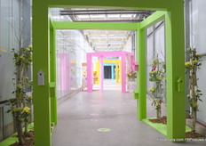 Entering the Deliflor greenhouse.